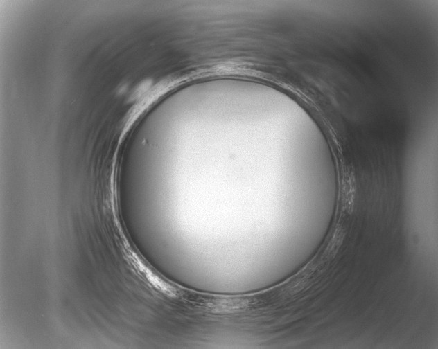 X0000086311294200703301141