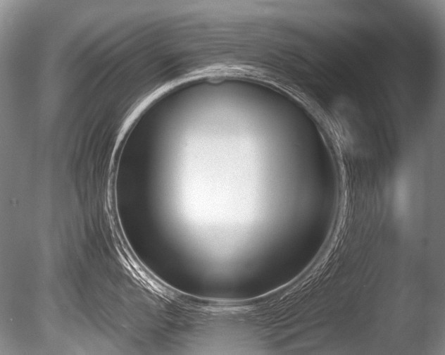 X0000086311296200703301141
