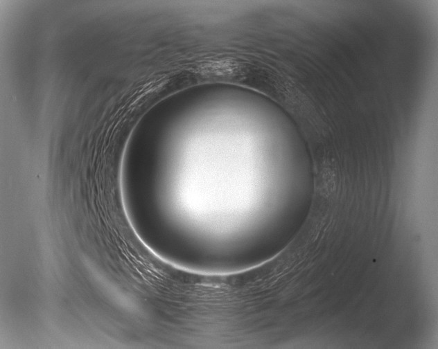 X0000086311297200703301140