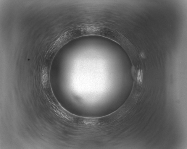 X0000086311299200703301140
