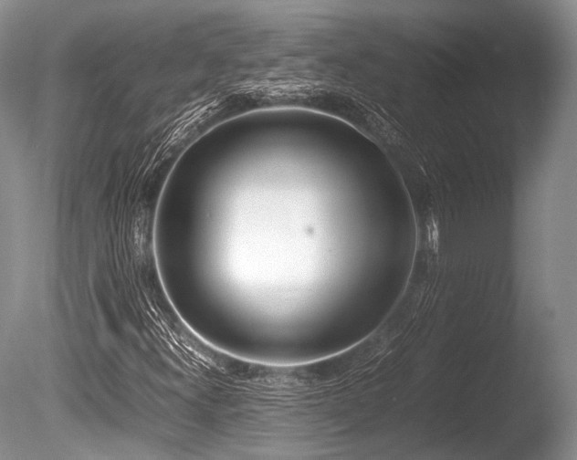 X0000086311300200703301140