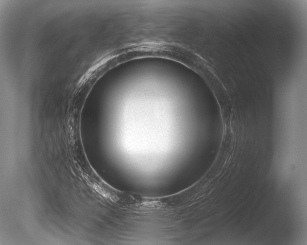X0000086311304200703301140