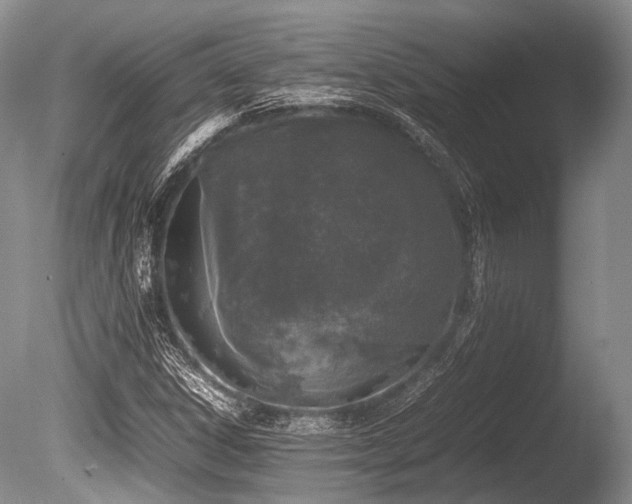 X0000086311306200703301140