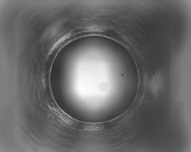 X0000086311307200703301140