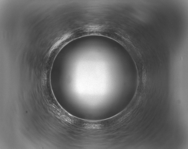 X0000086311309200703301140