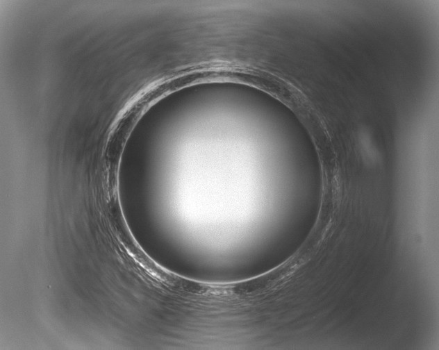 X0000086311310200703301140