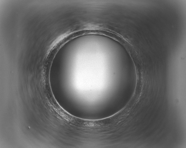X0000086311311200703301140