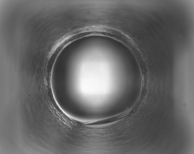 X0000086311312200703301140