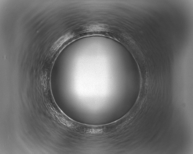 X0000086311313200703301140