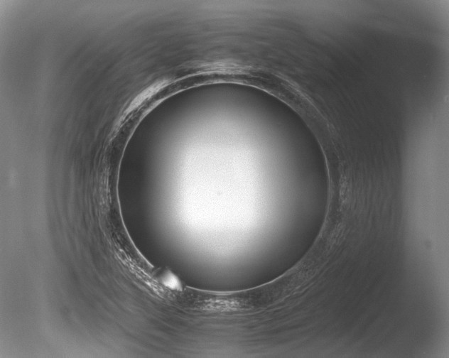 X0000086311315200703301140