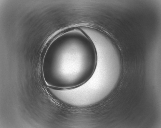 X0000086311316200703301140
