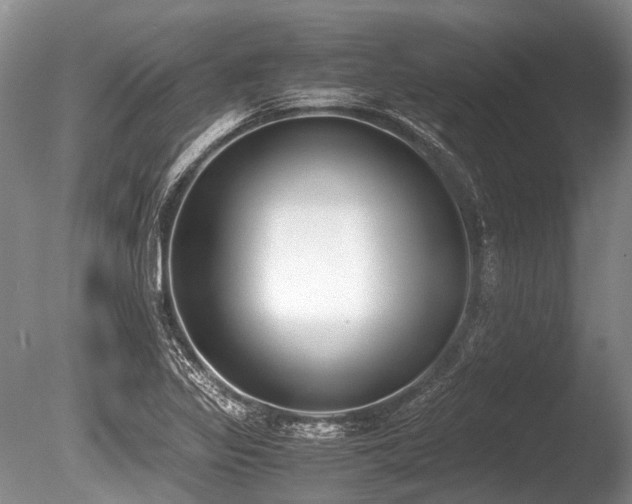 X0000086311317200703301140