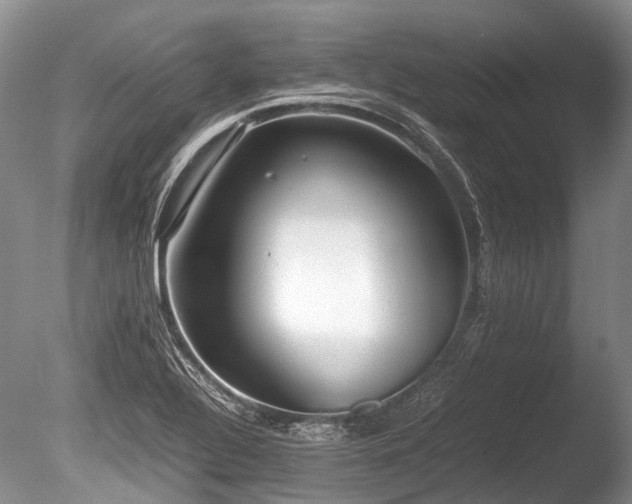 X0000086311320200703301140