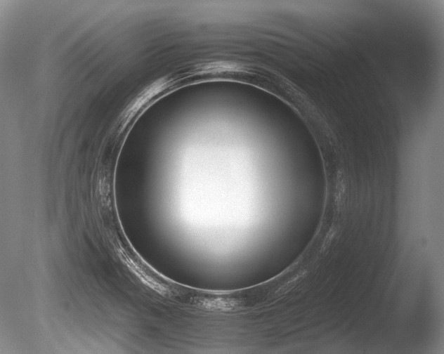 X0000086311321200703301140