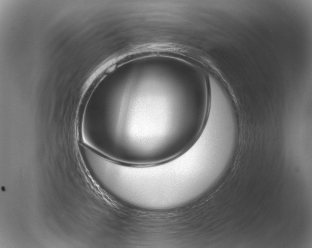 X0000086311328200703301140