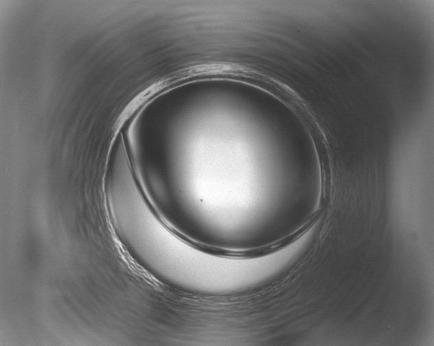 X0000086311330200703301140