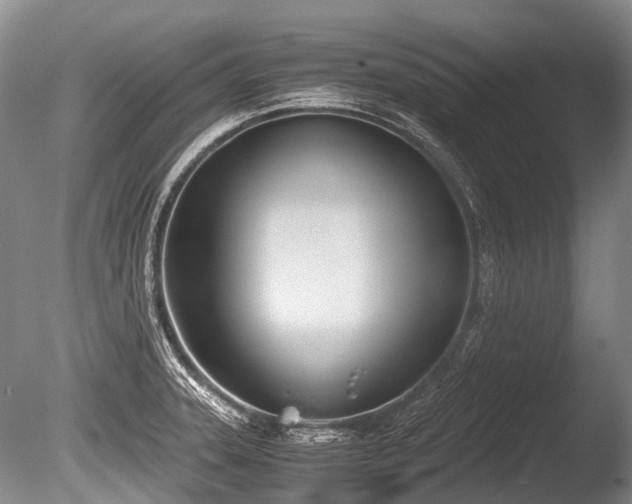 X0000086311331200703301140