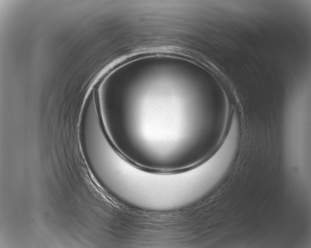 X0000086311332200703301140