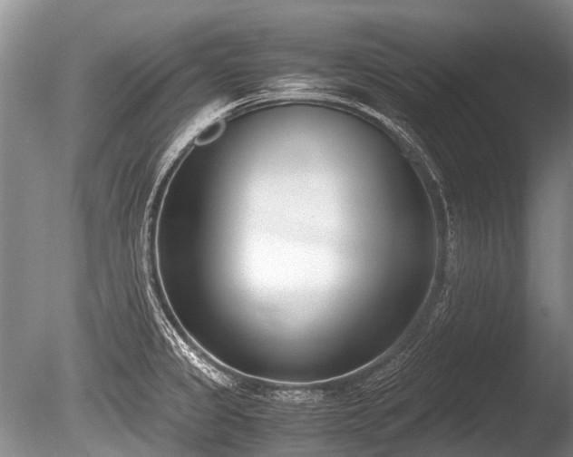 X0000086311333200703301140