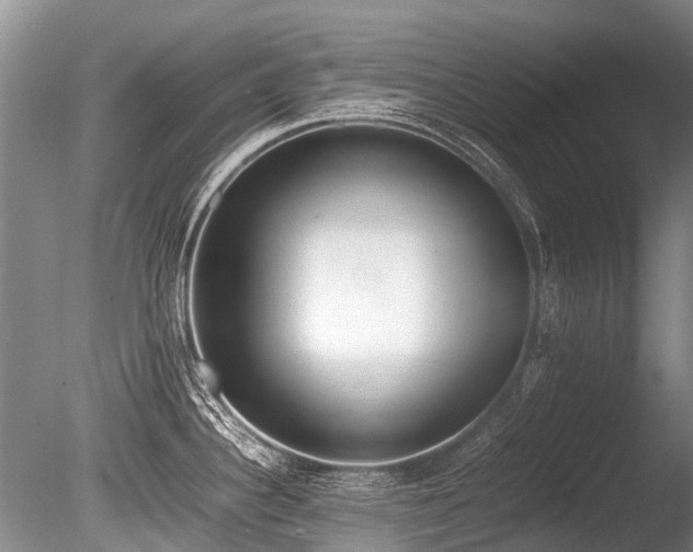 X0000086311340200703301141
