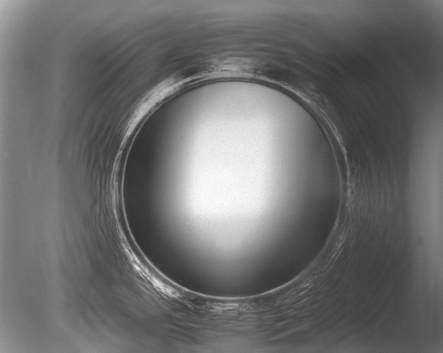X0000086311341200703301141
