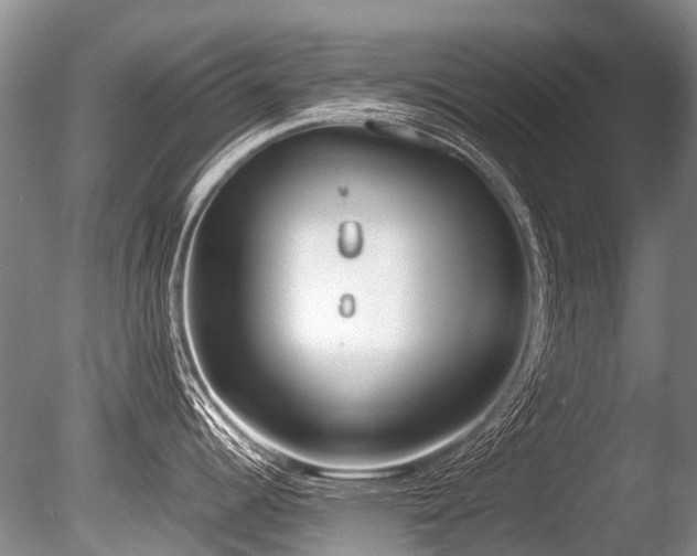 X0000086311344200703301141