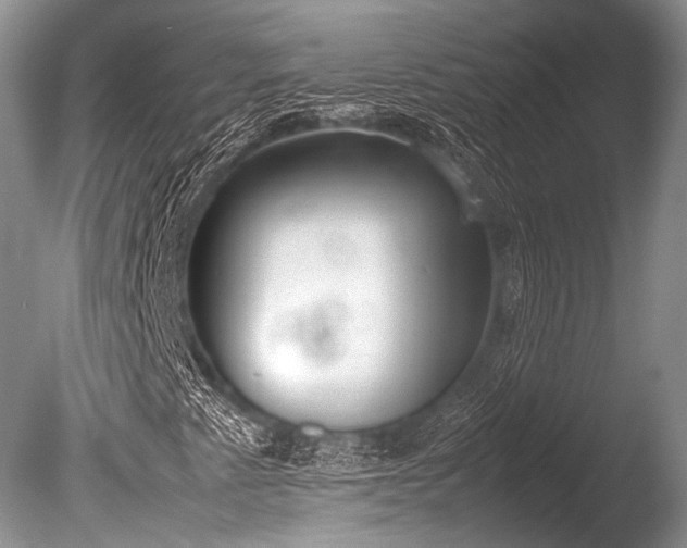 X0000086311345200703301140