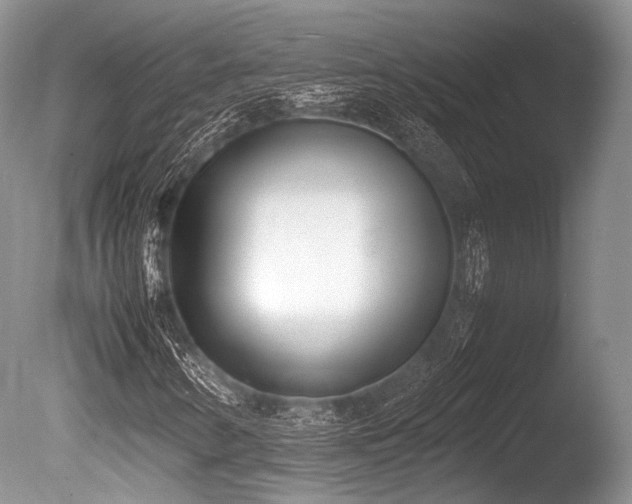 X0000086311346200703301140