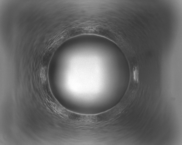 X0000086311347200703301140