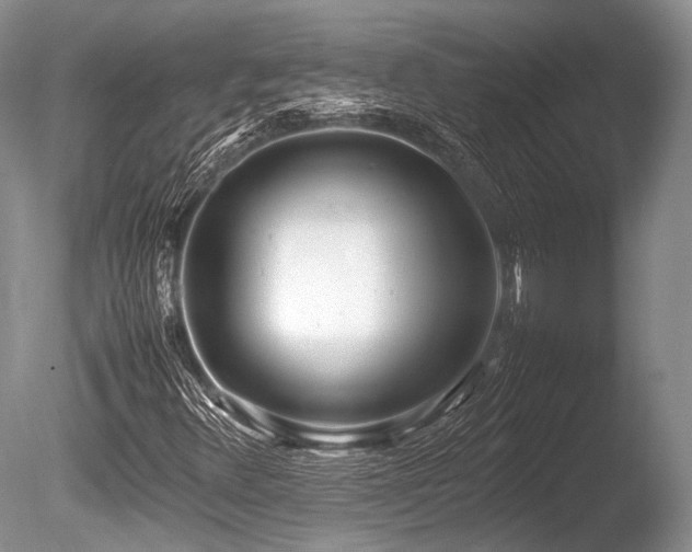 X0000086311348200703301140