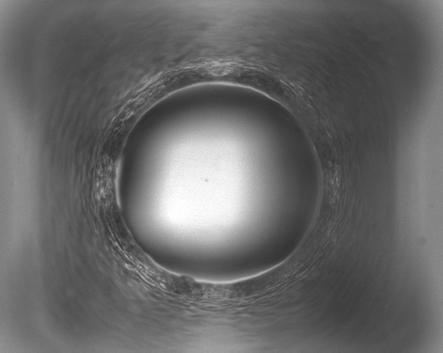 X0000086311349200703301140