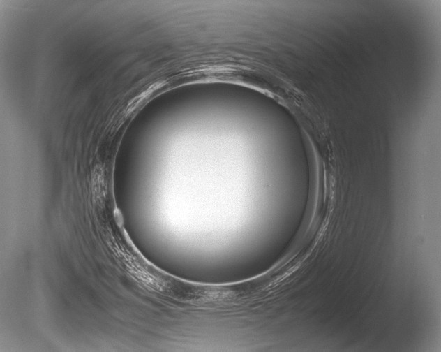 X0000086311353200703301140