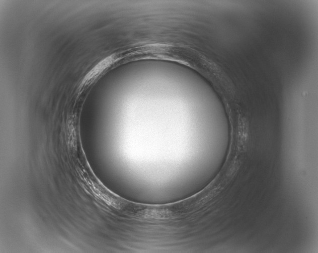 X0000086311354200703301140