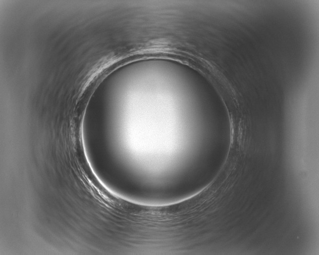 X0000086311356200703301140