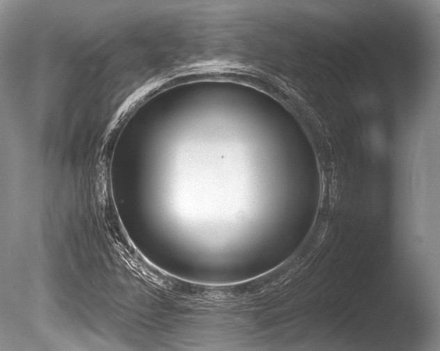 X0000086311358200703301140