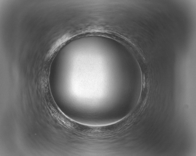 X0000086311359200703301139