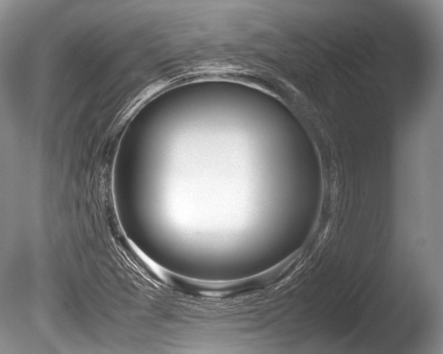 X0000086311361200703301139