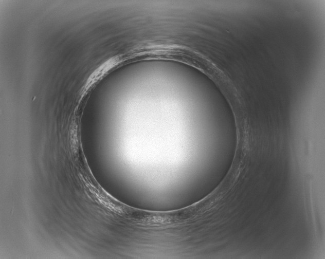 X0000086311362200703301139