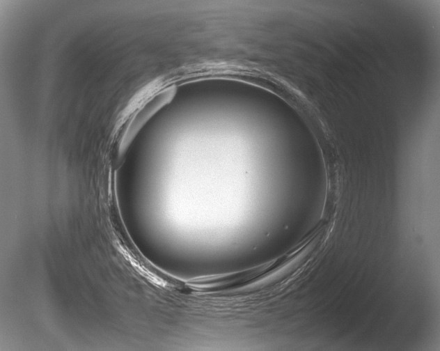 X0000086311365200703301139