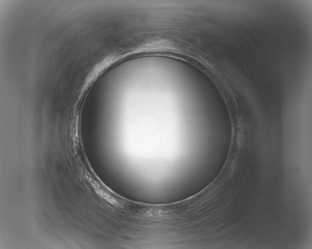 X0000086311366200703301139