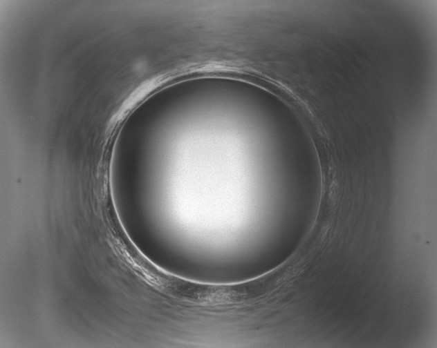 X0000086311367200703301139