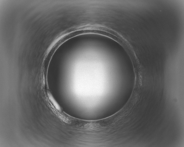 X0000086311368200703301139