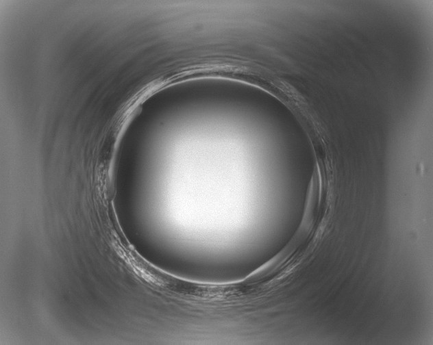 X0000086311369200703301139