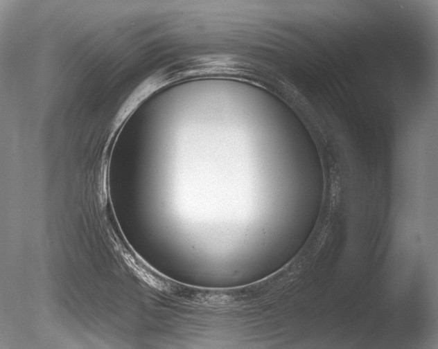X0000086311370200703301139