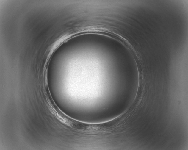 X0000086311371200703301139