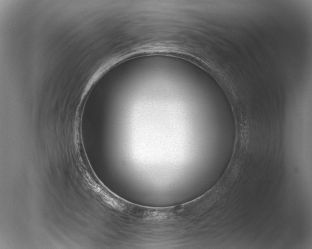X0000086311374200703301139