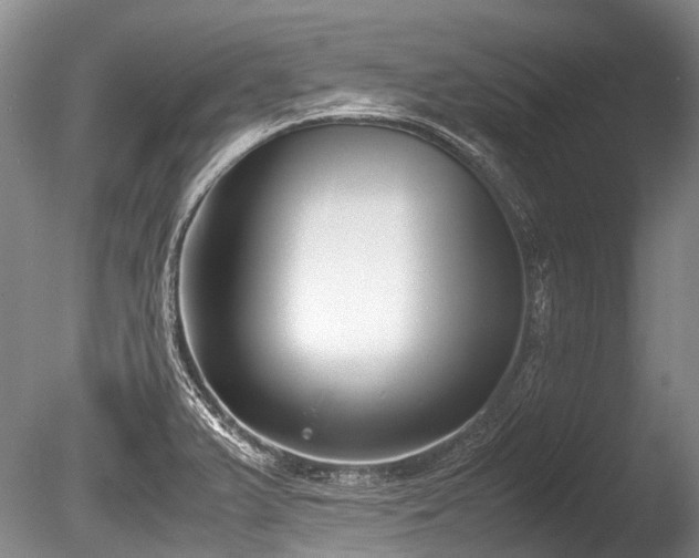 X0000086311375200703301139