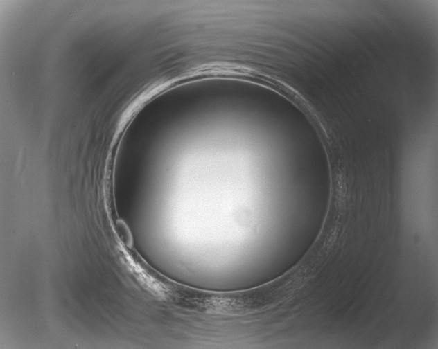 X0000086311379200703301139
