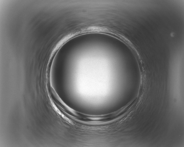 X0000086311381200703301139