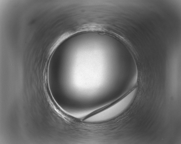 X0000086311383200703301139